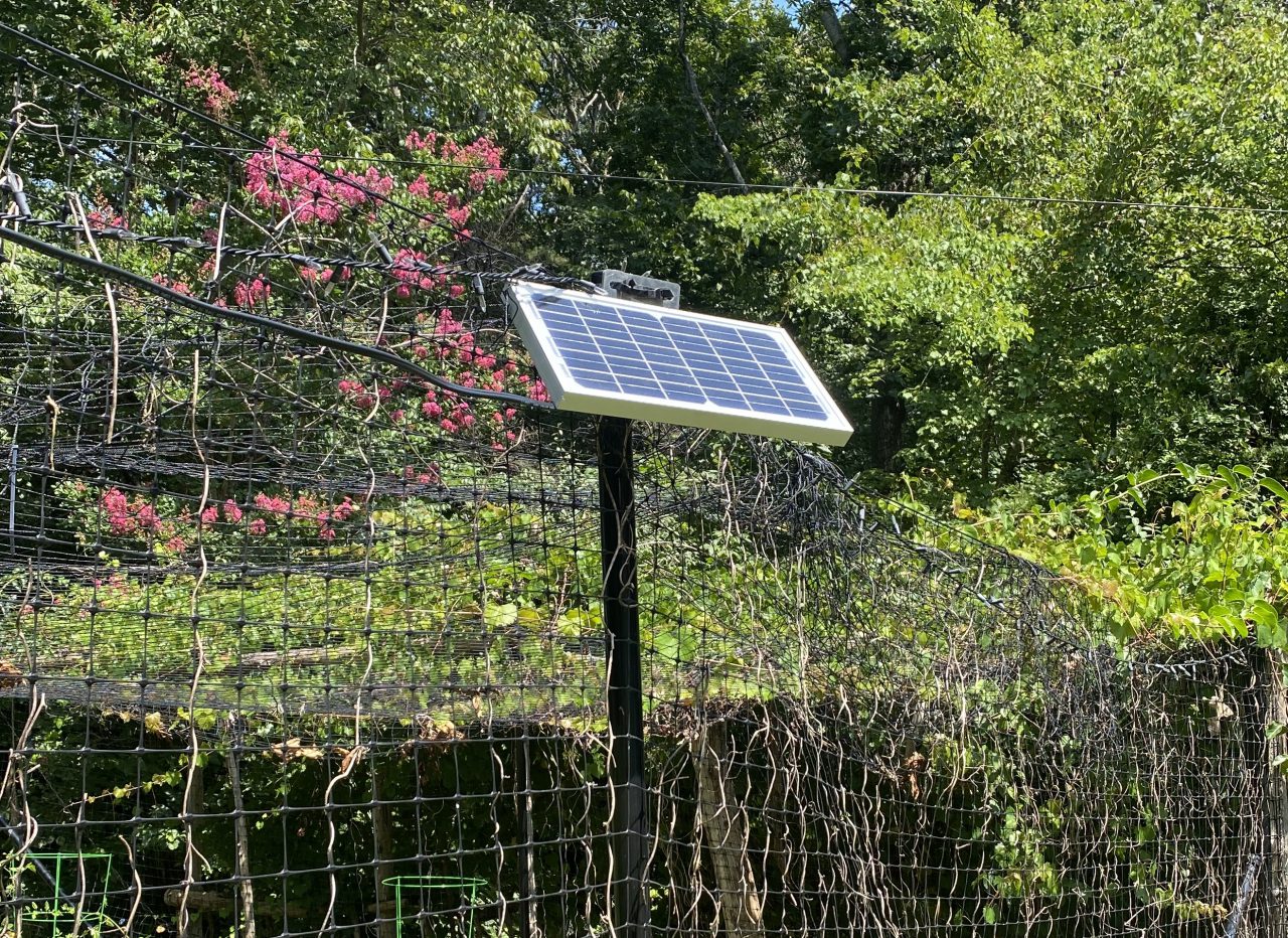 Solar panel mounted on fence post facing south