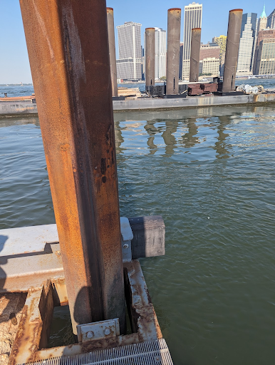 Piling at Brooklyn marina