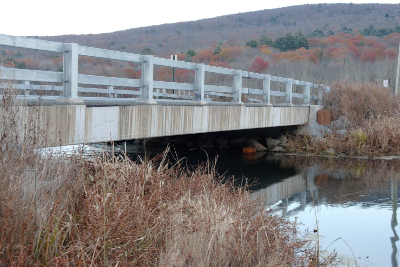 Bridge over a flowing body of water with autumn-colored trees in background